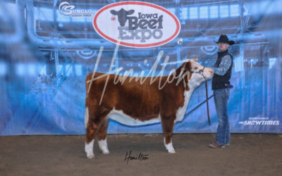 B Herf Champ 19
