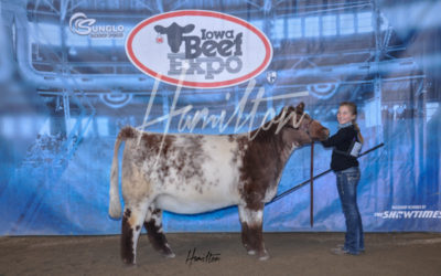 H Short Champ 19