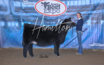 H Short Plus Champ 19
